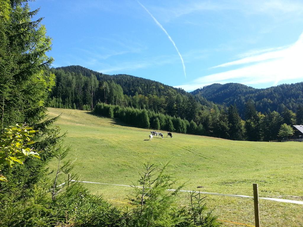 Balon Kranjska Gora