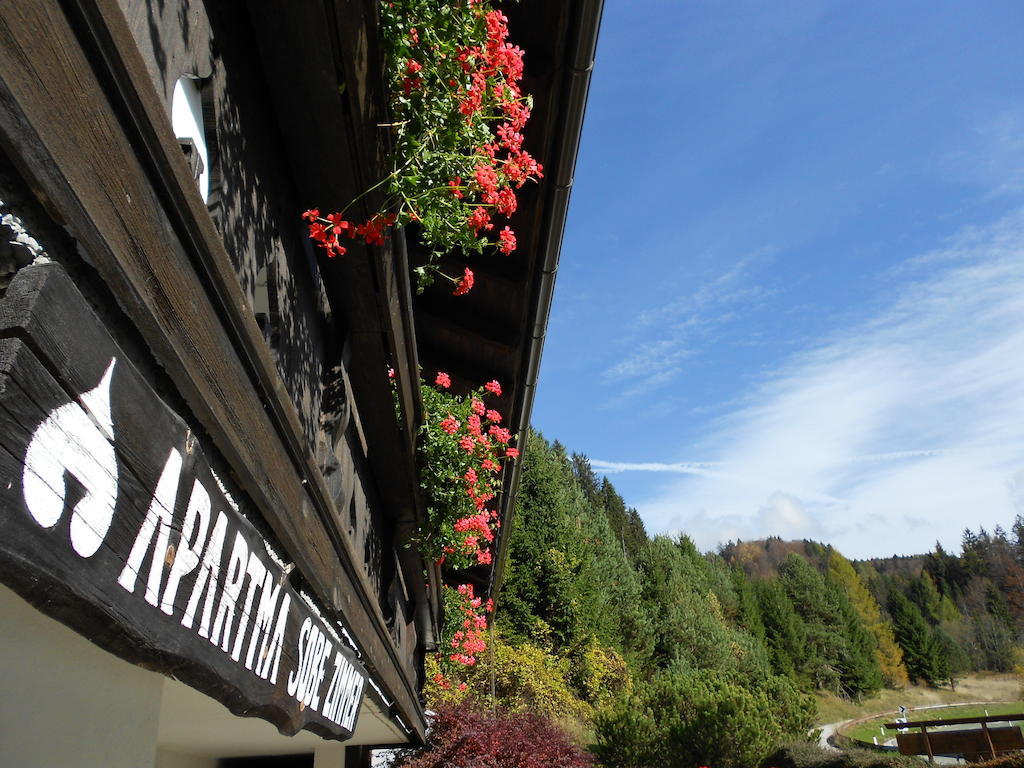 Balon Kranjska Gora